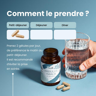 Viboost Tribulus & Maca - photo 3
