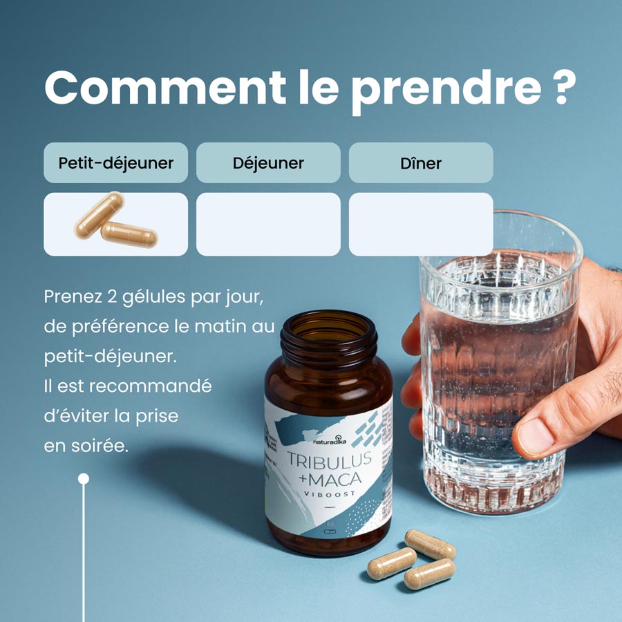 Viboost Tribulus & Maca - photo 3